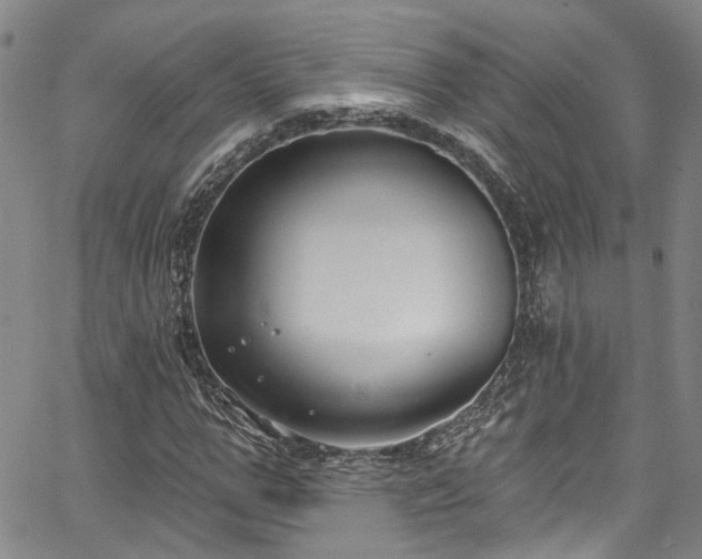 X0000067490967200604071200