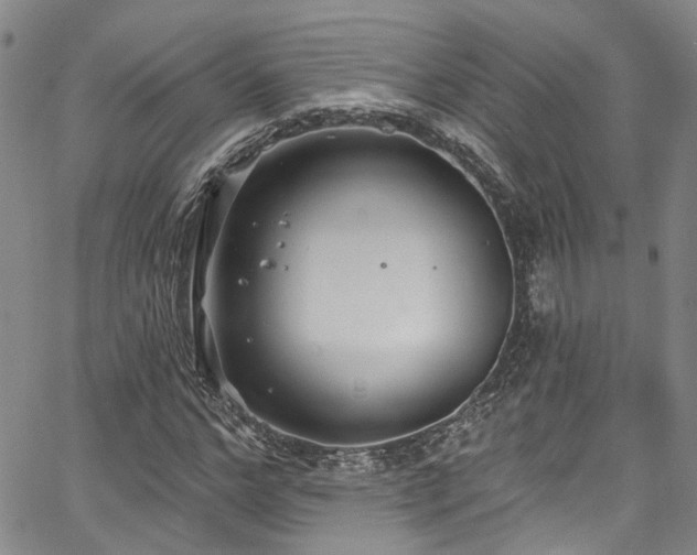 X0000067490968200604071200