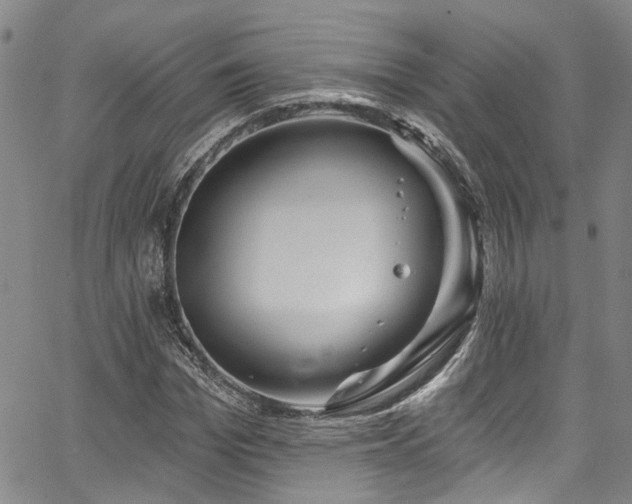 X0000067490969200604071200