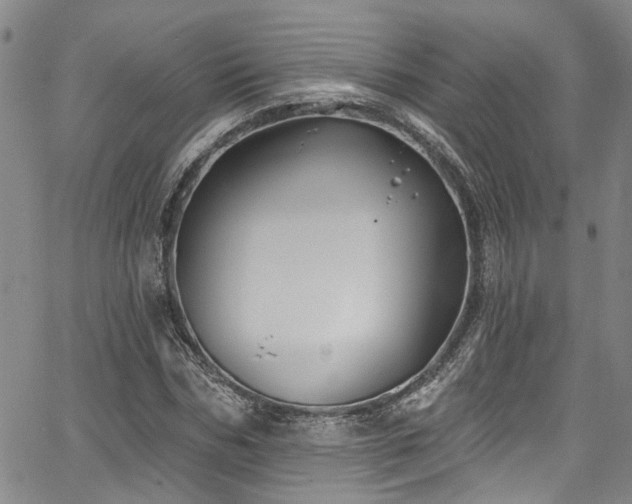 X0000067490970200604071200