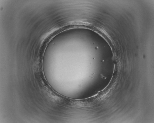 X0000067490971200604071200