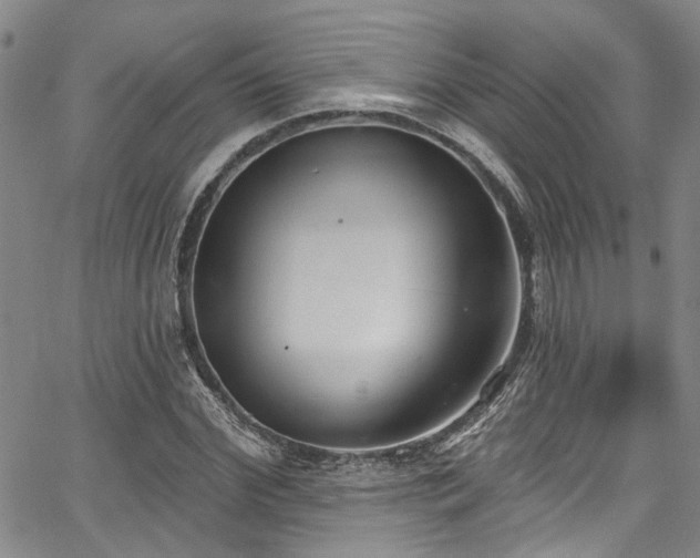 X0000067490972200604071200