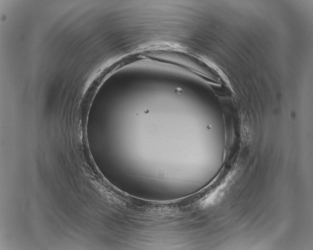 X0000067490973200604071200