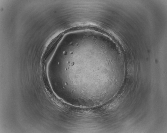 X0000067490975200604071200