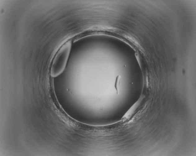 X0000067490976200604071200