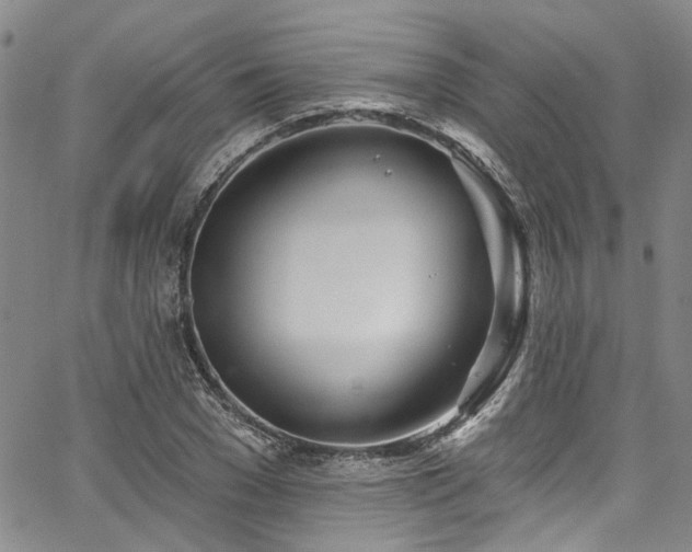 X0000067490977200604071200