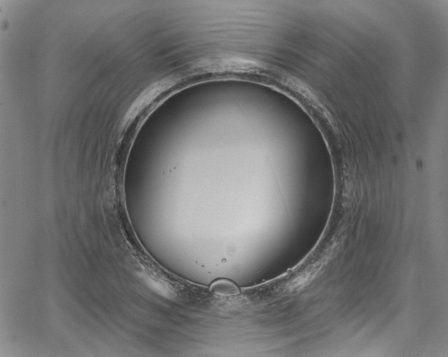 X0000067490978200604071159