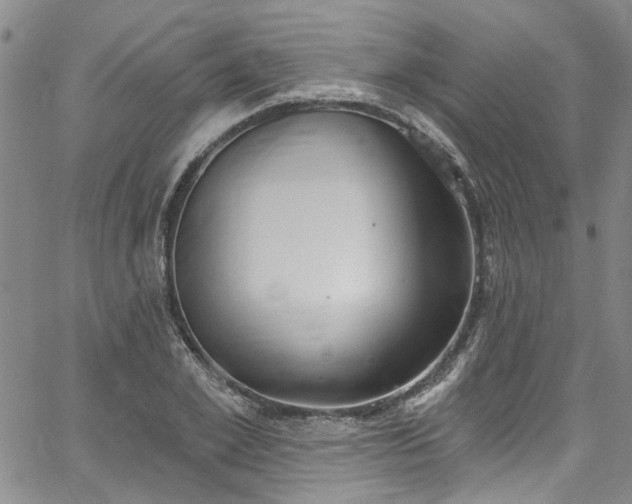 X0000067490981200604071159