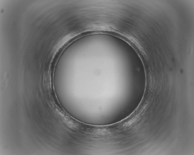 X0000067490982200604071159