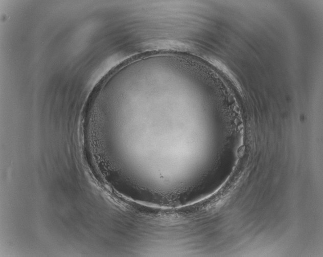 X0000067490983200604071159