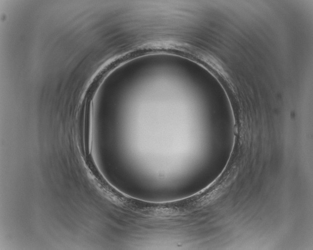 X0000067490984200604071159