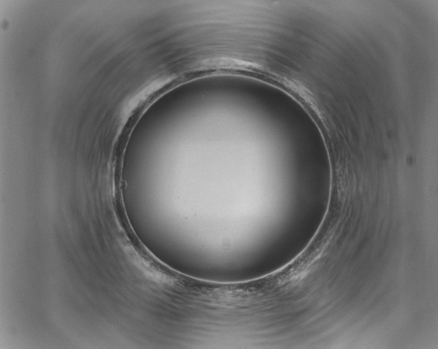 X0000067490987200604071159