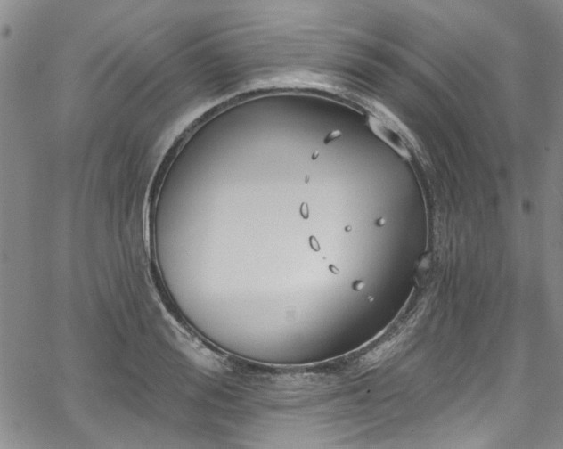 X0000067490988200604071159