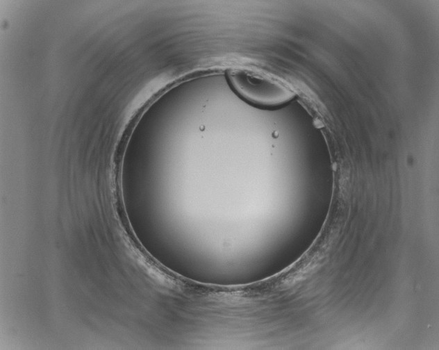 X0000067490990200604071159