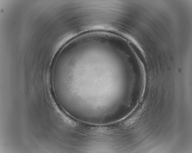 X0000067490991200604071159