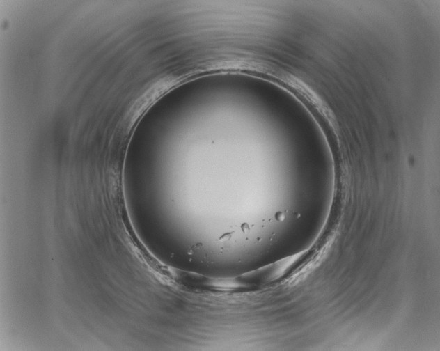 X0000067490993200604071159