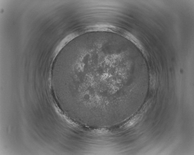 X0000067490994200604071159