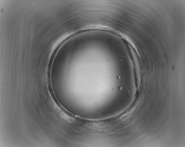 X0000067490995200604071159