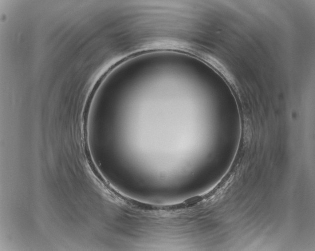 X0000067490996200604071159