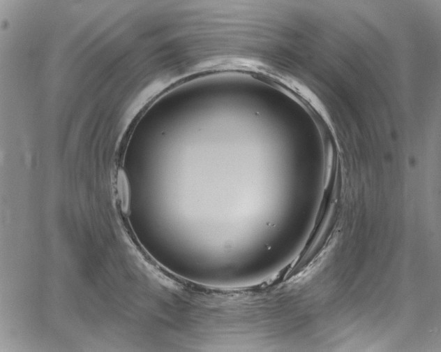 X0000067490997200604071159