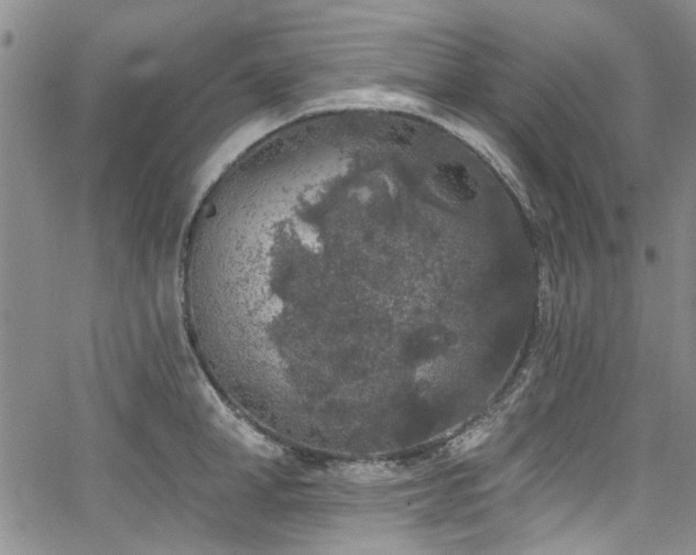 X0000067490998200604071159