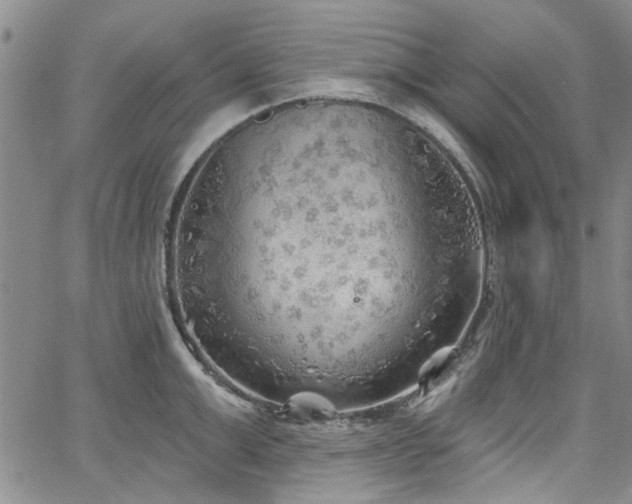 X0000067490999200604071159