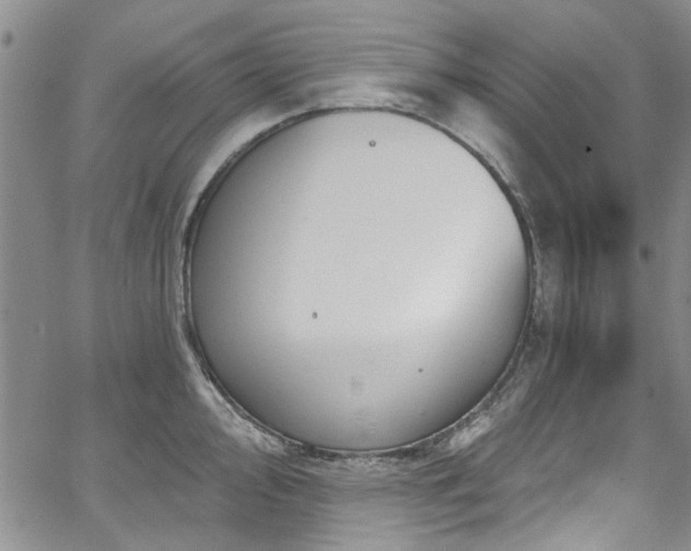 X0000067491000200604071159