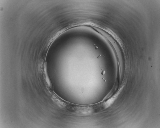 X0000067491001200604071159