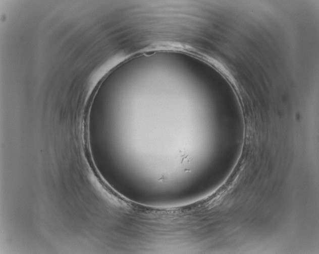 X0000067491003200604071159