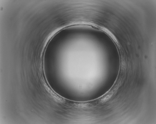 X0000067491004200604071159