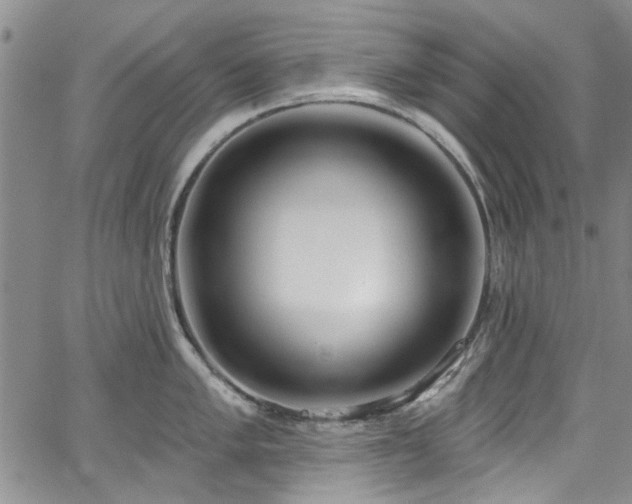 X0000067491005200604071159