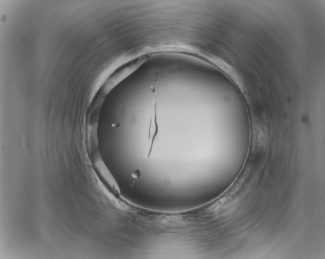 X0000067491006200604071159