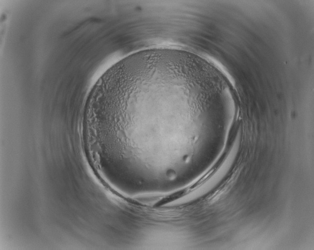 X0000067491007200604071159