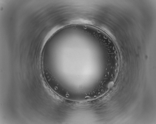 X0000067491008200604071159