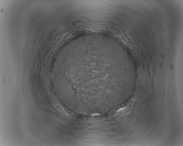 X0000067491009200604071158