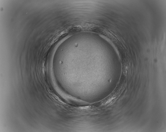 X0000067491010200604071158