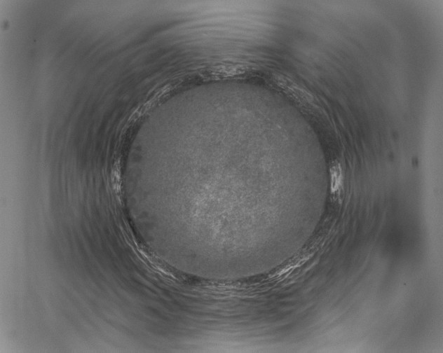 X0000067491011200604071158