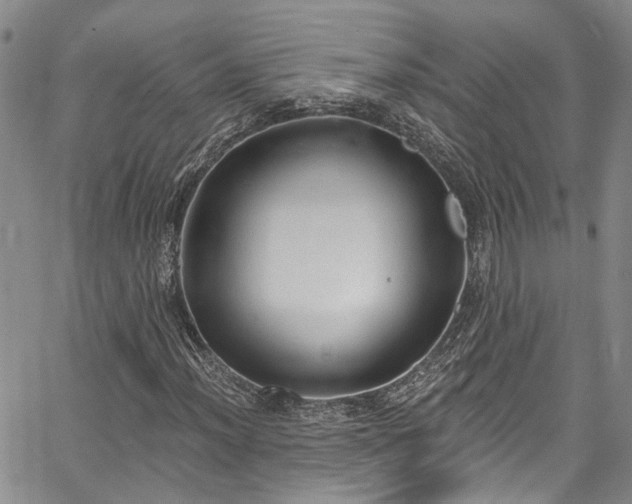 X0000067491012200604071158