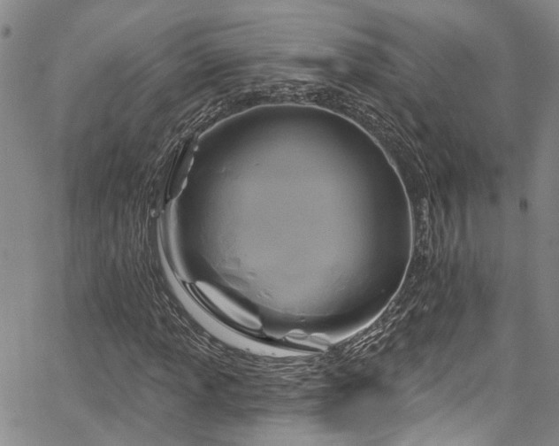 X0000067491013200604071158