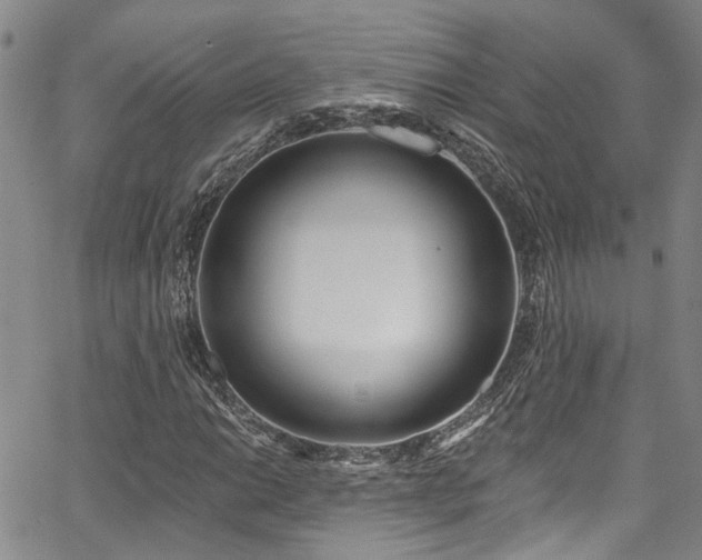 X0000067491014200604071158