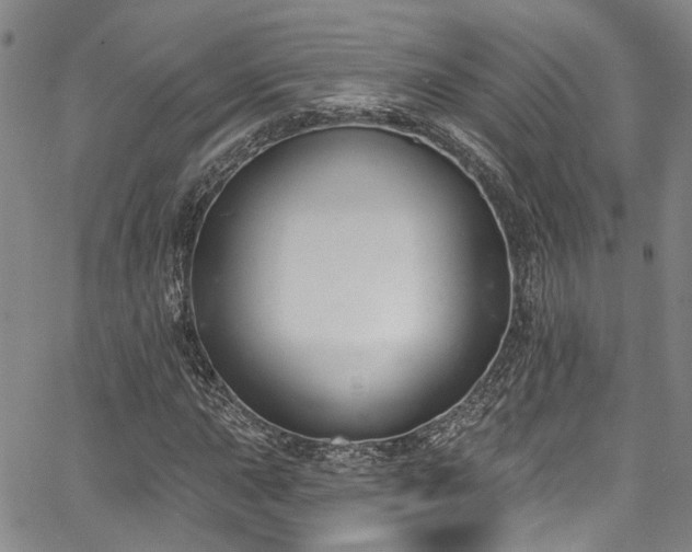 X0000067491015200604071158