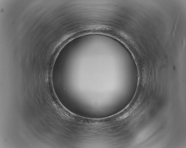 X0000067491017200604071158