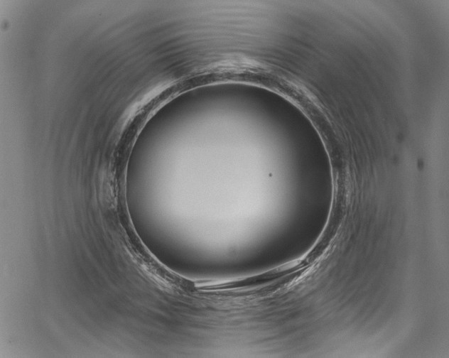 X0000067491018200604071158