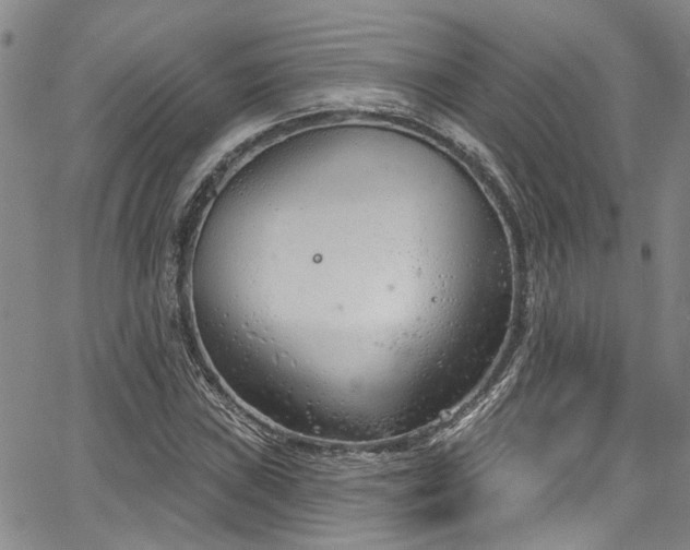 X0000067491019200604071158