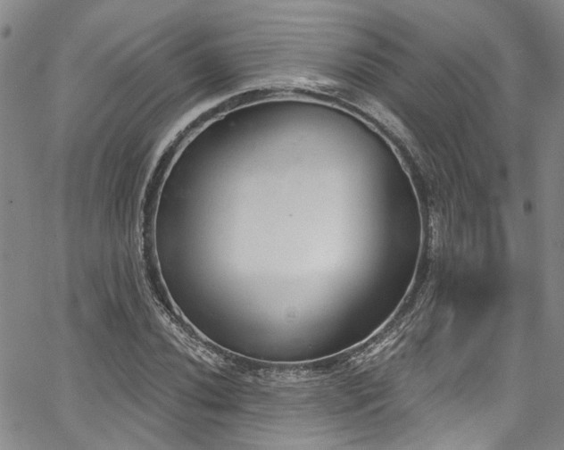 X0000067491020200604071158