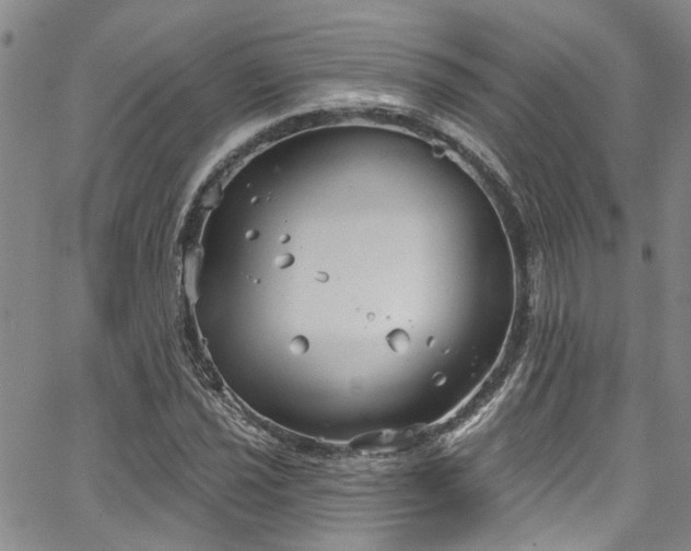 X0000067491021200604071158