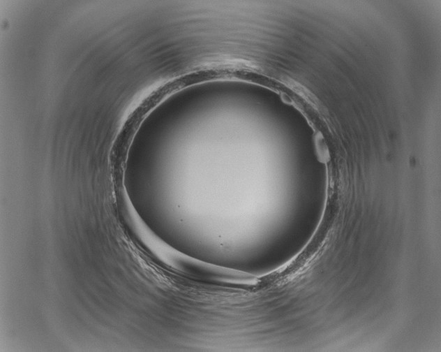 X0000067491022200604071158