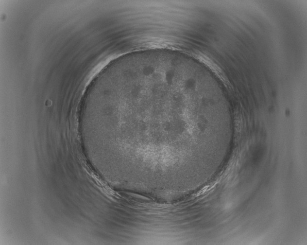 X0000067491023200604071158