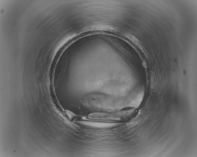 X0000067491024200604071158