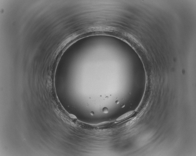 X0000067491025200604071158